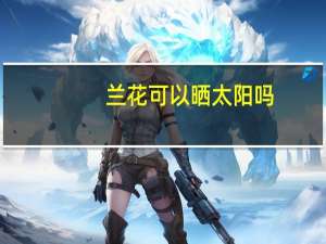 兰花可以晒太阳吗