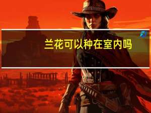 兰花可以种在室内吗