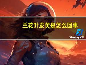 兰花叶发黄是怎么回事