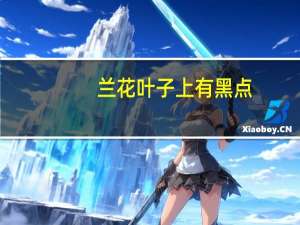 兰花叶子上有黑点