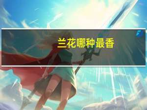 兰花哪种最香