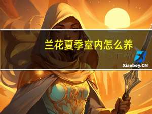 兰花夏季室内怎么养