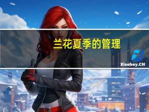 兰花夏季的管理：通风、干爽、浇水是关键