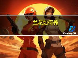 兰花如何养