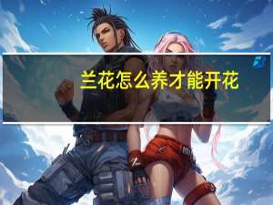 兰花怎么养才能开花