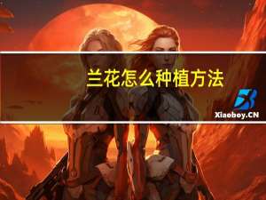 兰花怎么种植方法