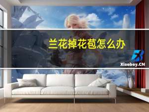 兰花掉花苞怎么办