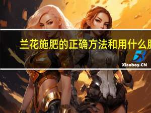 兰花施肥的正确方法和用什么肥