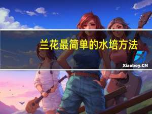 兰花最简单的水培方法