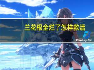兰花根全烂了怎样救活