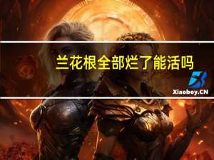 兰花根全部烂了能活吗