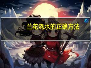 兰花浇水的正确方法