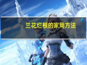 兰花烂根的家用方法