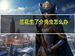 兰花生了介壳虫怎么办