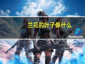 兰花的叶子像什么