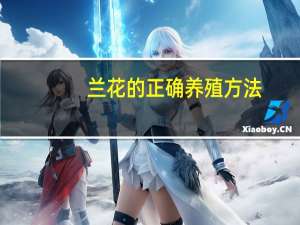 兰花的正确养殖方法