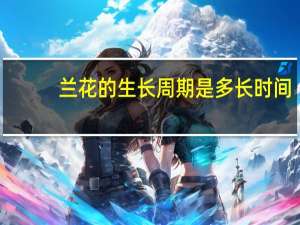 兰花的生长周期是多长时间