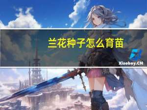 兰花种子怎么育苗