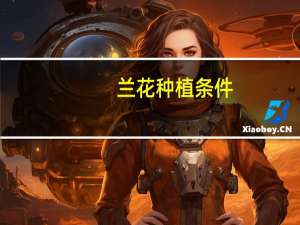 兰花种植条件