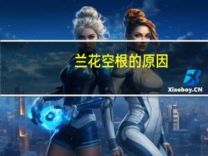 兰花空根的原因