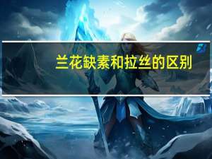 兰花缺素和拉丝的区别