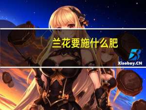 兰花要施什么肥