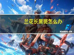 兰花长黑斑怎么办