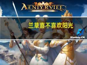 兰草喜不喜欢阳光