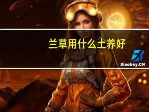 兰草用什么土养好