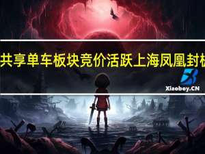 共享单车板块竞价活跃上海凤凰封板涨停