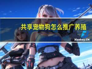 共享宠物狗怎么推广养殖