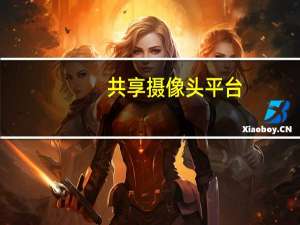 共享摄像头平台