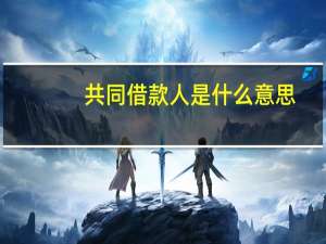 共同借款人是什么意思