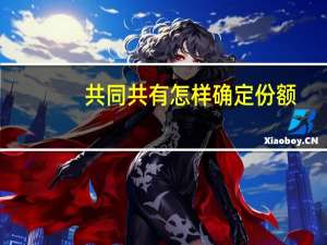共同共有怎样确定份额