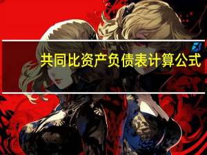 共同比资产负债表计算公式