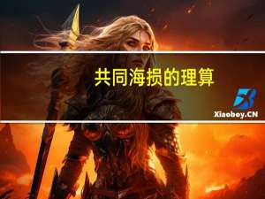 共同海损的理算