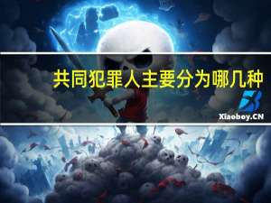 共同犯罪人主要分为哪几种