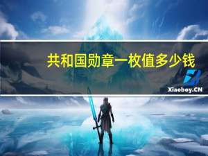 共和国勋章一枚值多少钱（关于共和国勋章一枚值多少钱的介绍）