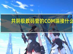 共阴极数码管的COM端接什么