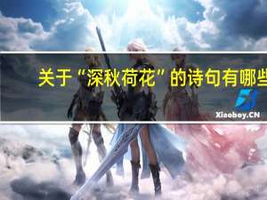 关于“深秋荷花”的诗句有哪些