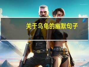 关于乌龟的幽默句子