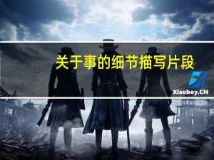 关于事的细节描写片段