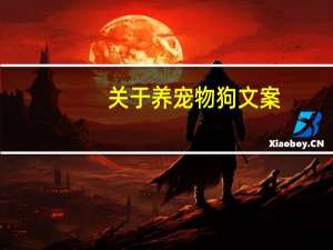 关于养宠物狗文案