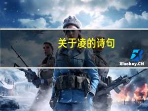关于凌的诗句