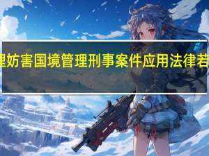 关于办理妨害国（边）境管理刑事案件应用法律若干问题的解释