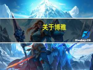 关于博雅，他们有没有相关的资质
