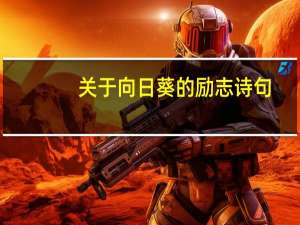 关于向日葵的励志诗句