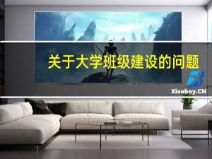 关于大学班级建设的问题