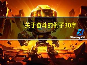 关于奋斗的例子30字（关于奋斗的例子）