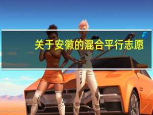 关于安徽的混合平行志愿